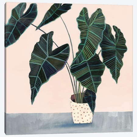 Houseplant II Canvas Print #VBO140} by Victoria Borges Canvas Art