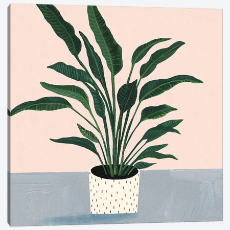 Houseplant IV Canvas Print #VBO142} by Victoria Borges Canvas Wall Art