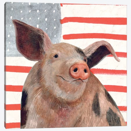 Patriotic Farm IV Canvas Print #VBO160} by Victoria Borges Canvas Artwork