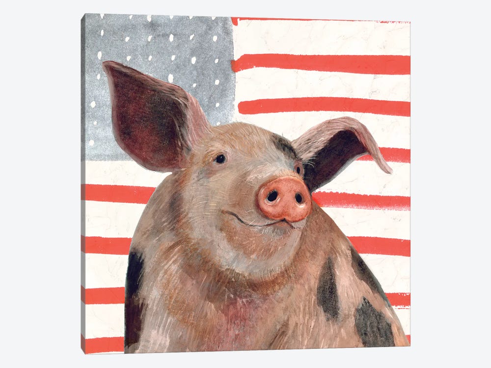 Patriotic Farm IV by Victoria Borges 1-piece Canvas Art