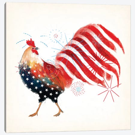 Rooster Fireworks I Canvas Print #VBO171} by Victoria Borges Art Print