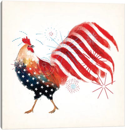 Rooster Fireworks I Canvas Art Print - Independence Day