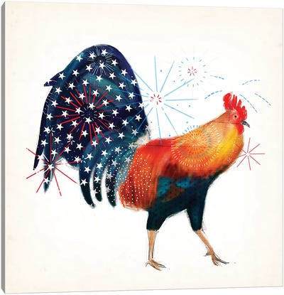 Rooster Fireworks II Canvas Art Print - Independence Day Art