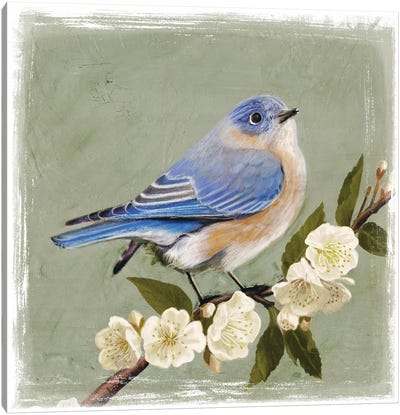 Bluebird Branch I Canvas Art Print - Sparrows