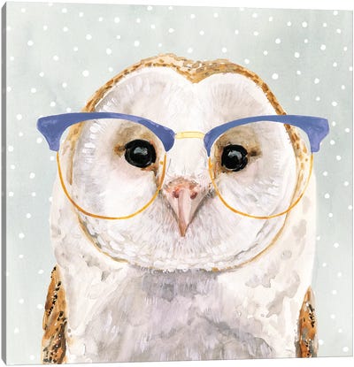 Four-eyed Forester II Canvas Art Print - Owl Art