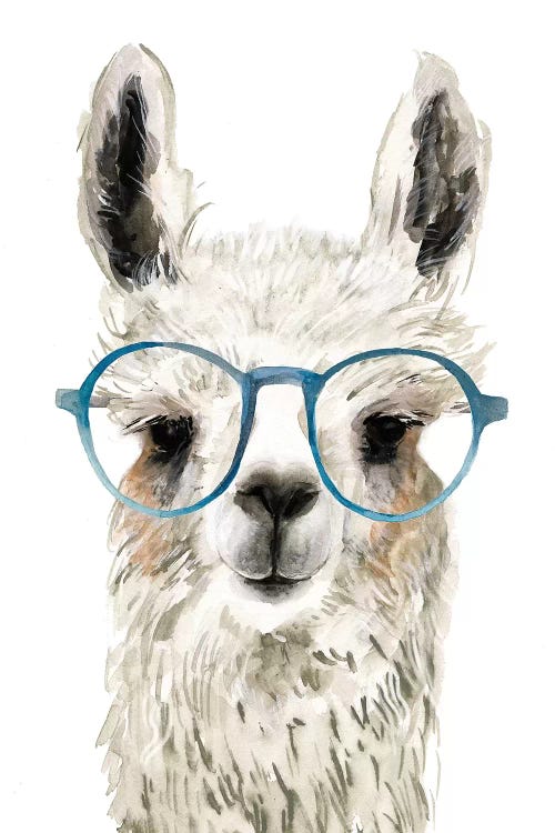 Hip Llama II