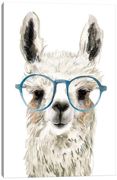 Hip Llama II Canvas Art Print - Farm Animal Art