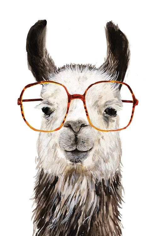 Hip Llama III