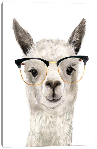 Hip Llama IV Canvas Art Print - Animal Humor Art