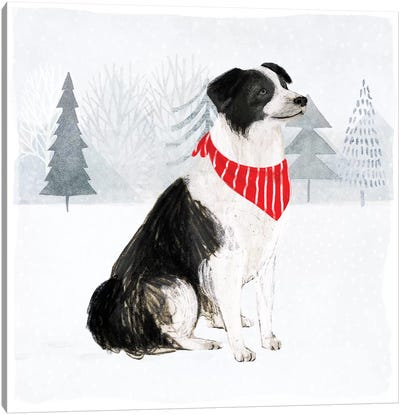 Christmas Cats & Dogs II Canvas Art Print - Australian Shepherd Art