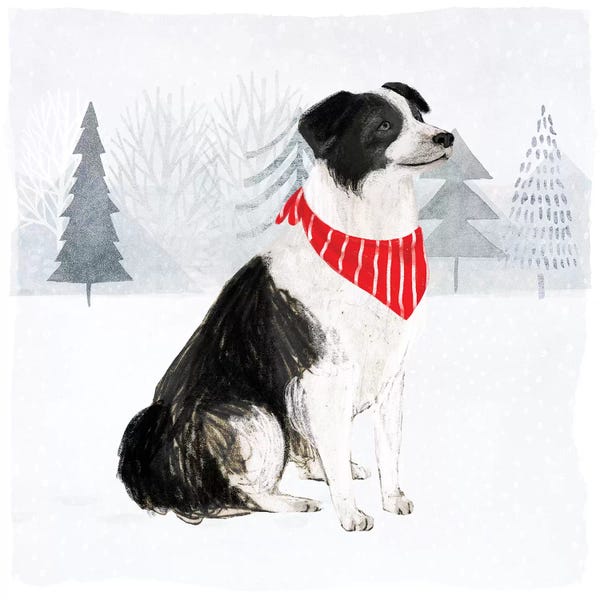 Christmas Animals: Christmas Cats & Dogs II by Victoria Borges