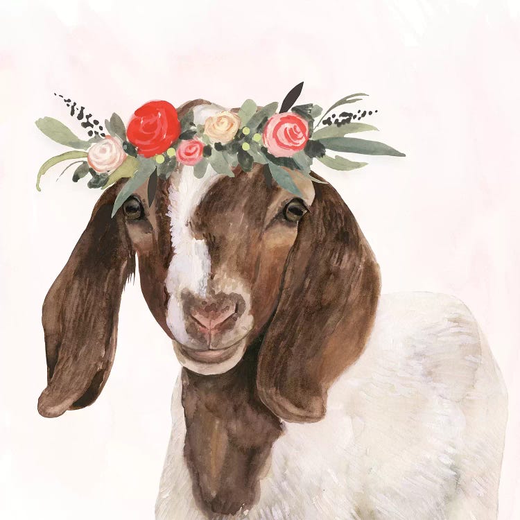 Garden Goat II