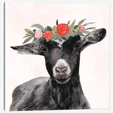 Garden Goat III Canvas Print #VBO306} by Victoria Borges Canvas Art Print
