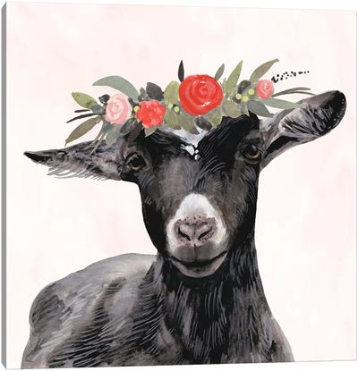 Garden Goat III Canvas Art Print - Goat Art