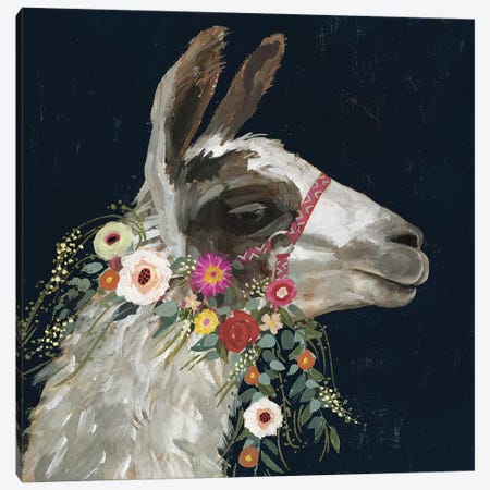 Lovely Llama I Canvas Print #VBO326} by Victoria Borges Canvas Print