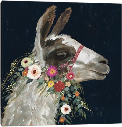Lovely Llama I Canvas Art Print - Victoria Borges