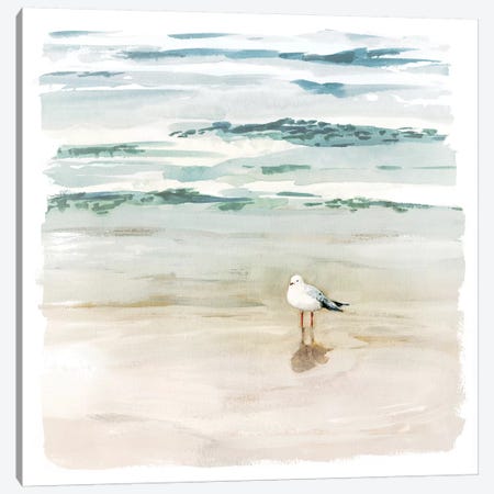 Seagull Cove II Canvas Print #VBO339} by Victoria Borges Art Print