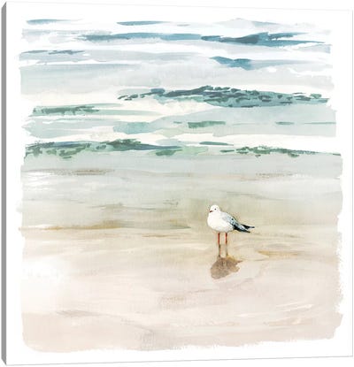Seagull Cove II Canvas Art Print - Gull & Seagull Art