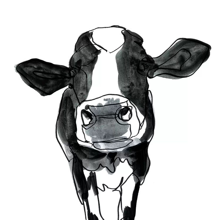 Cow Contour III