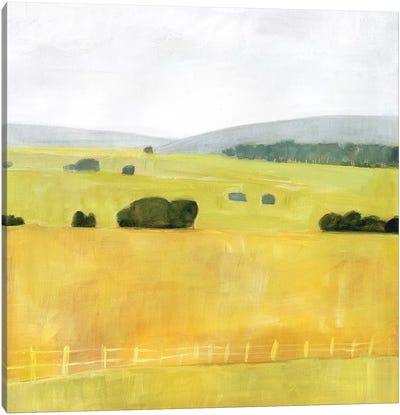 Soft Fieldscape I Canvas Art Print - Yellow Art