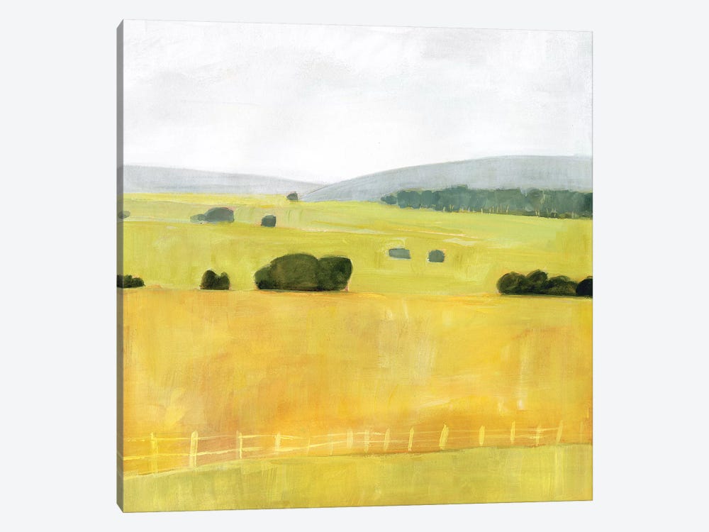 Soft Fieldscape I by Victoria Borges 1-piece Canvas Art
