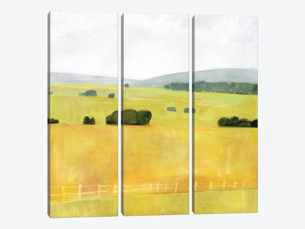 Soft Fieldscape I by Victoria Borges 3-piece Canvas Wall Art