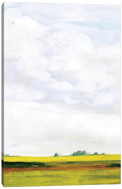 Field Walk I Canvas Art Print - Victoria Borges