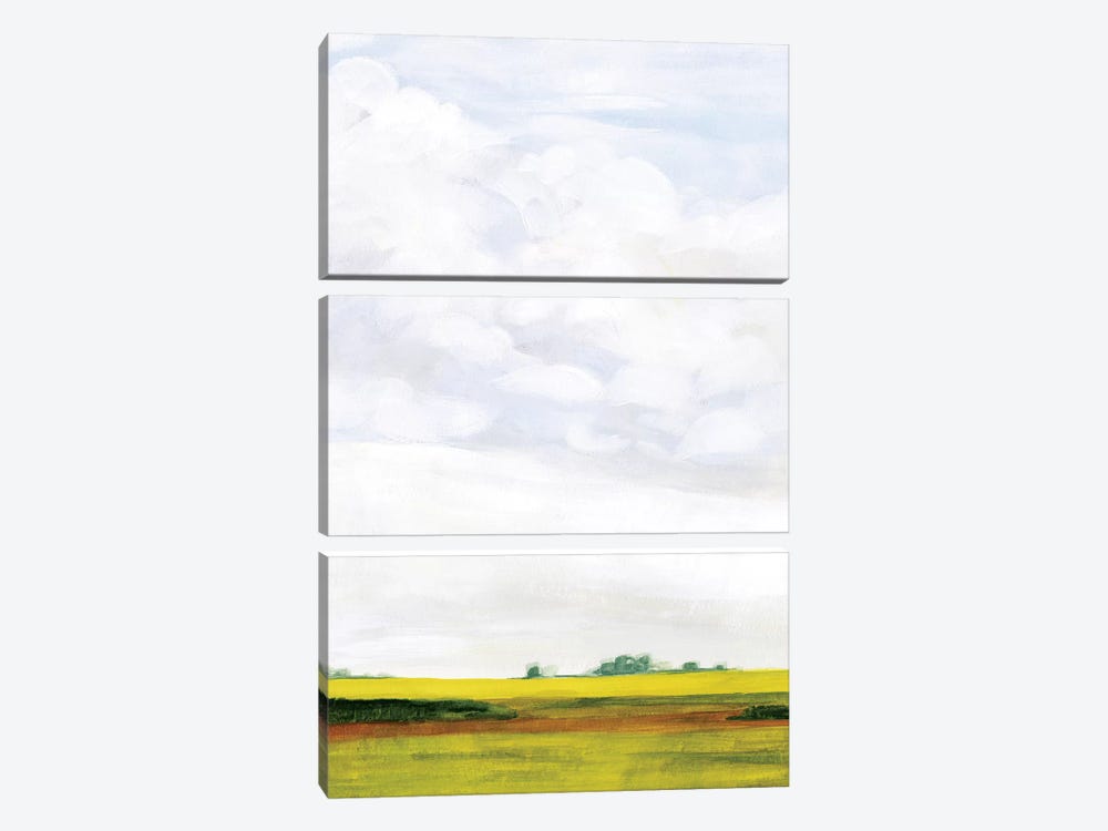 Field Walk I by Victoria Borges 3-piece Canvas Wall Art