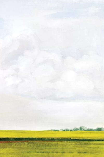 Field Walk II by Victoria Borges framed canvas print