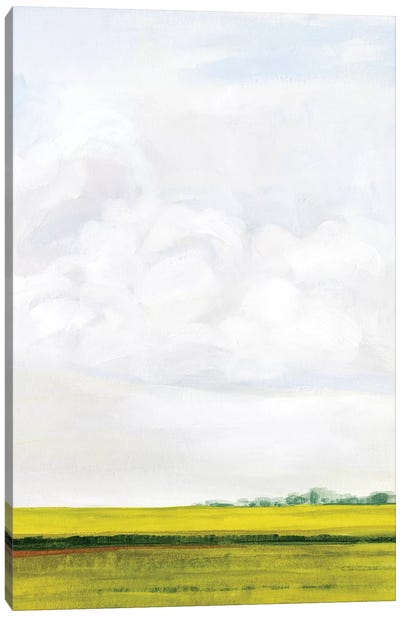 Field Walk II Canvas Art Print - Victoria Borges