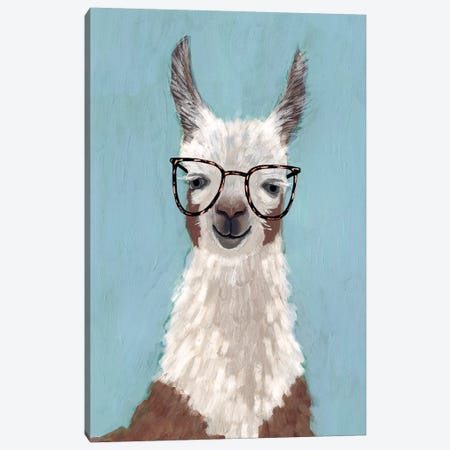 Llama Specs I Canvas Print #VBO49} by Victoria Borges Canvas Print