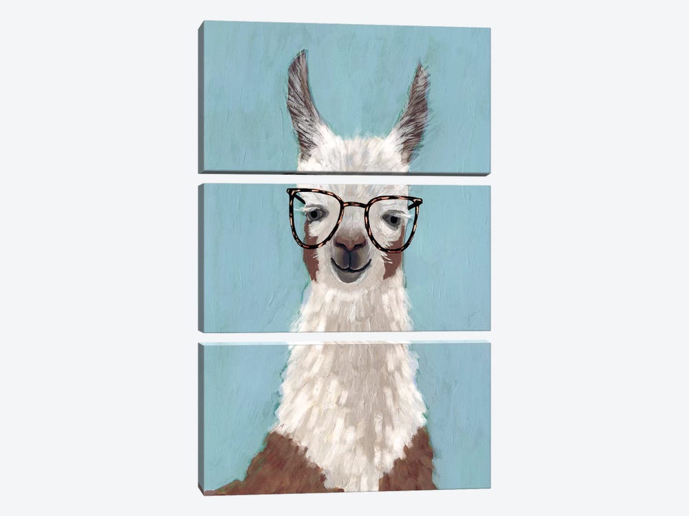 Llama Specs I by Victoria Borges 3-piece Canvas Art