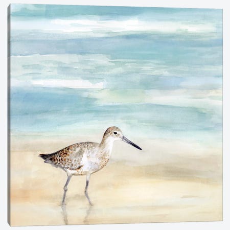 Speckled Willet I Canvas Print #VBO505} by Victoria Borges Canvas Print
