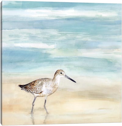 Speckled Willet I Canvas Art Print - Victoria Borges