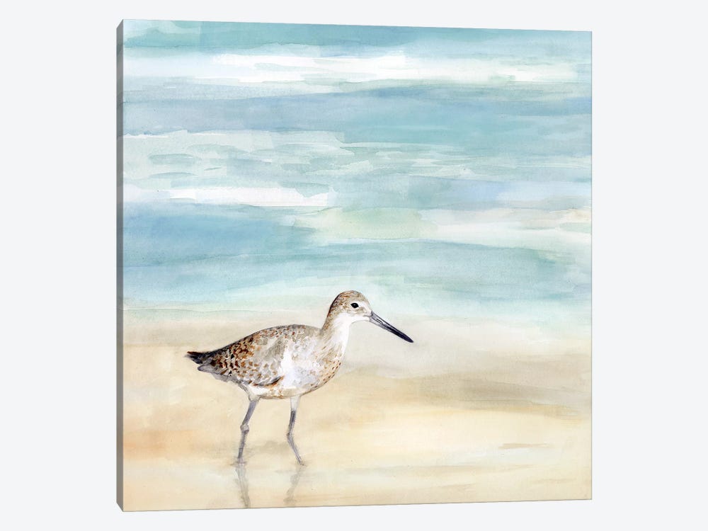 Speckled Willet I by Victoria Borges 1-piece Canvas Artwork