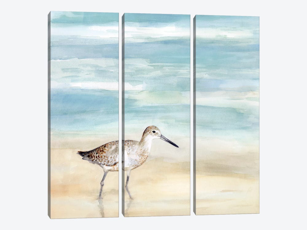 Speckled Willet I by Victoria Borges 3-piece Canvas Art