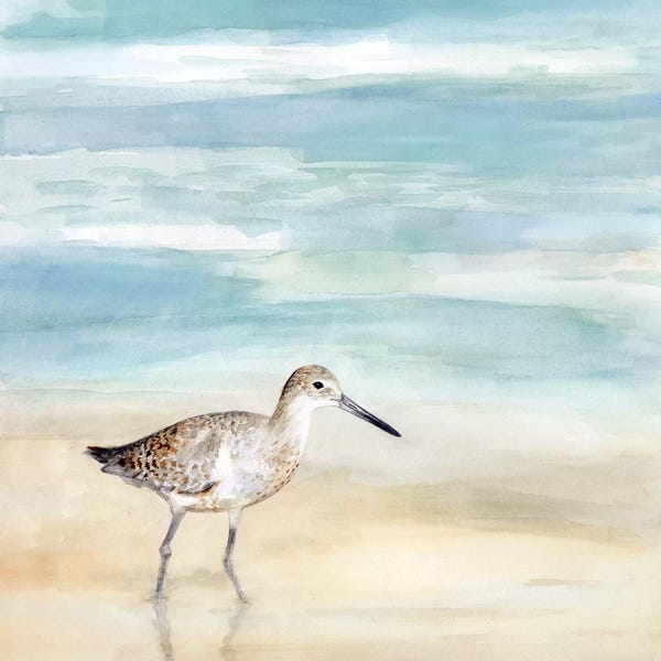 Sandpipers: Speckled Willet I by Victoria Borges