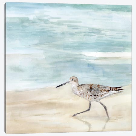 Speckled Willet II Canvas Print #VBO506} by Victoria Borges Art Print