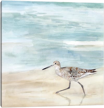 Speckled Willet II Canvas Art Print - Victoria Borges