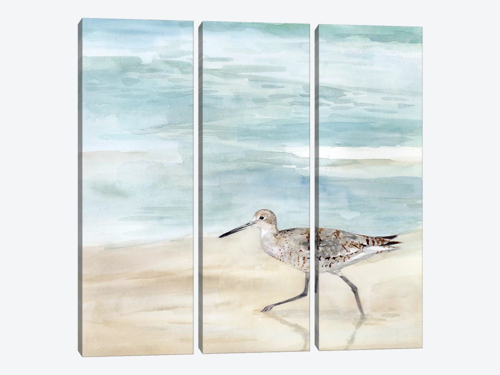 Speckled Willet II by Victoria Borges 3-piece Art Print