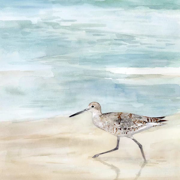 Sandpipers: Speckled Willet II by Victoria Borges