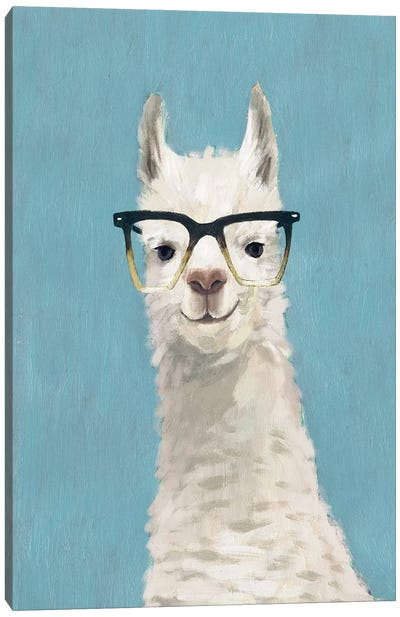Llama Specs II Canvas Art Print - Animal Humor Art