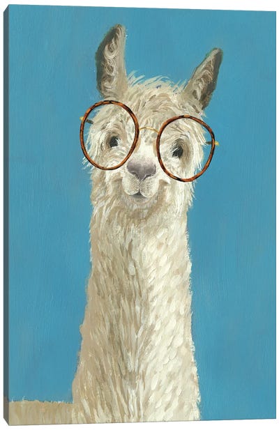 Llama Specs III Canvas Art Print - Animal Humor Art