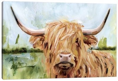 Highland Grazer I Canvas Art Print - Best Selling Animal Art