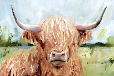 Highland Grazer II by Victoria Borges canvas print