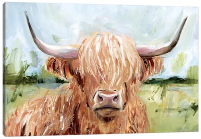 Highland Grazer II Canvas Art Print - Highland Cow Art