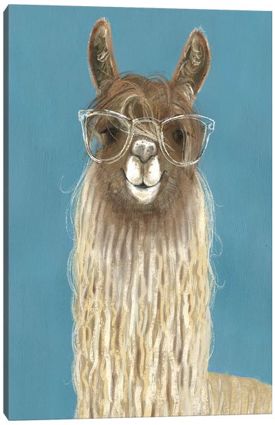 Llama Specs IV Canvas Art Print - Llama & Alpaca Art