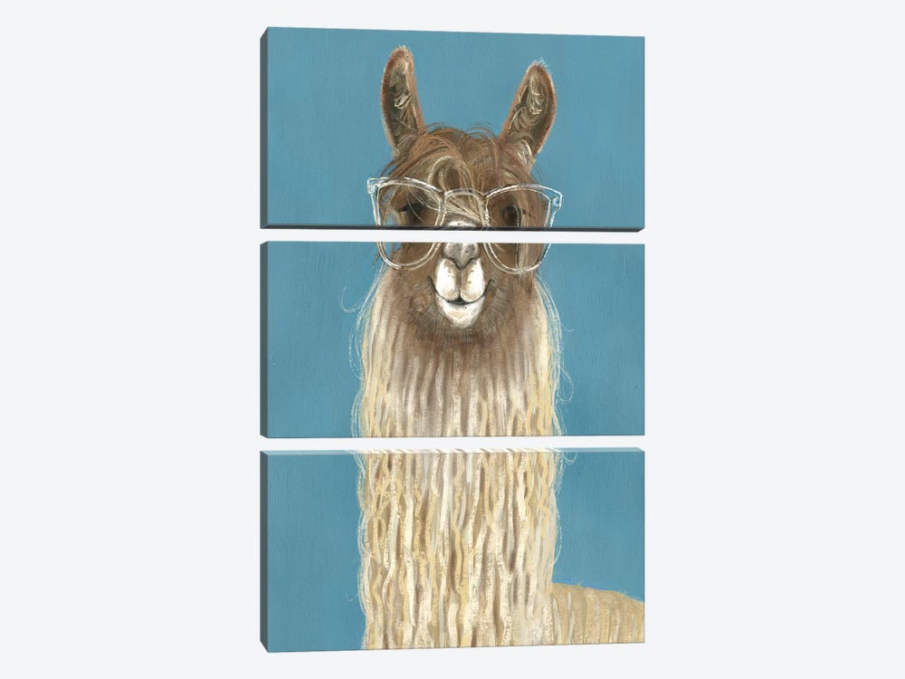 Llama Specs IV by Victoria Borges 3-piece Canvas Wall Art