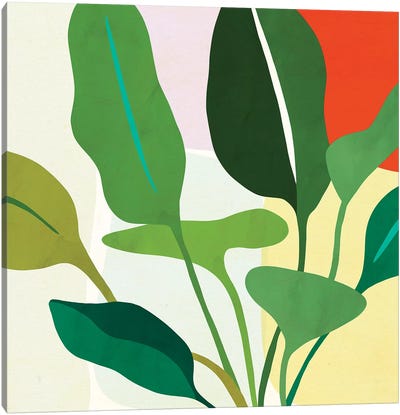 Tropica II Canvas Art Print - Tropical Leaf Art