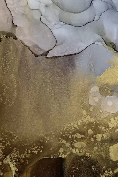 Black & White & Gold: Amethyst and Umber I by Victoria Borges